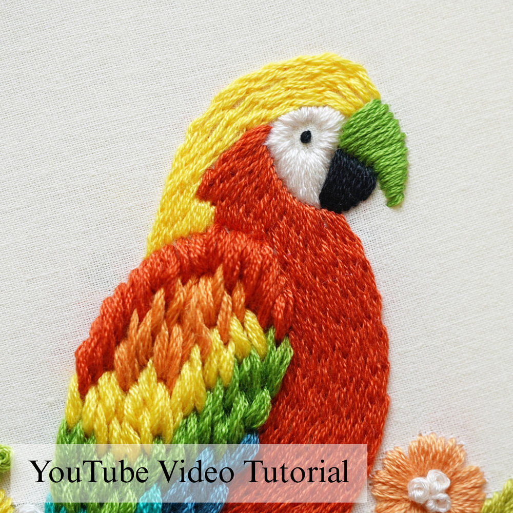 Macaw bird