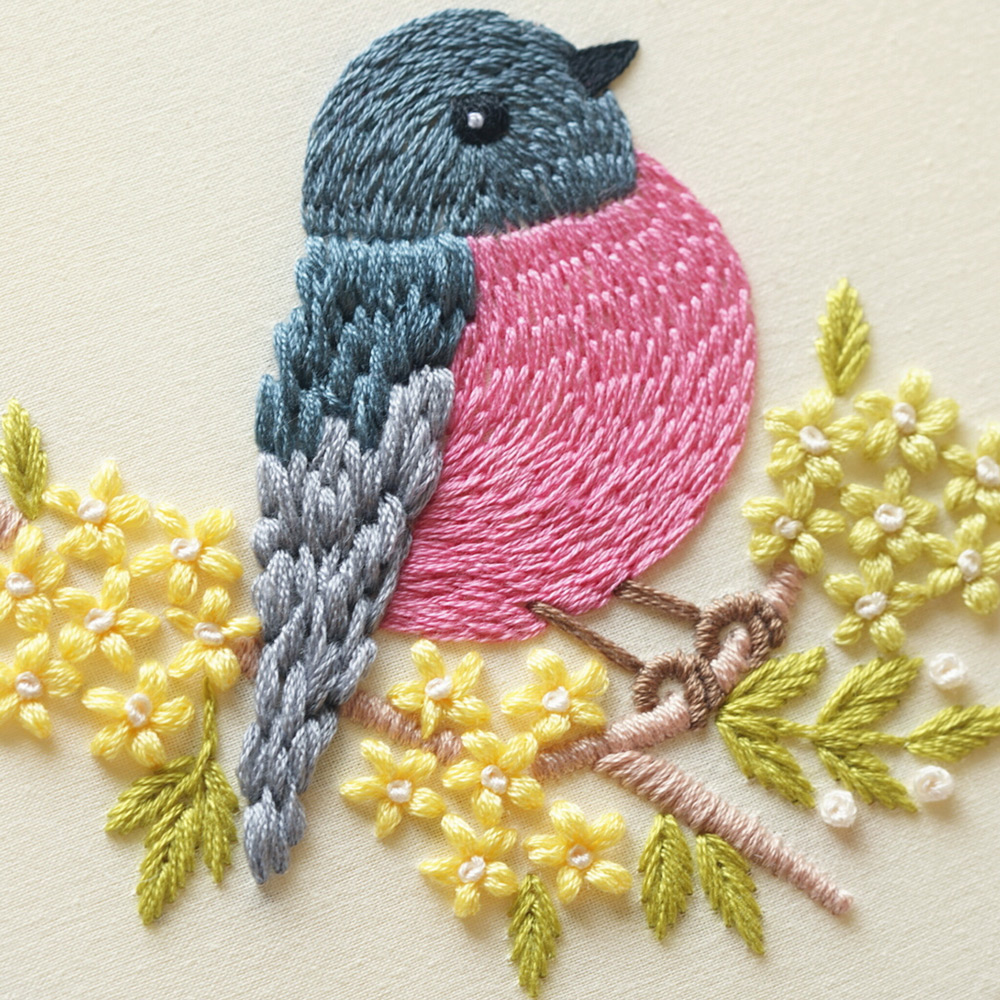 Pink robin