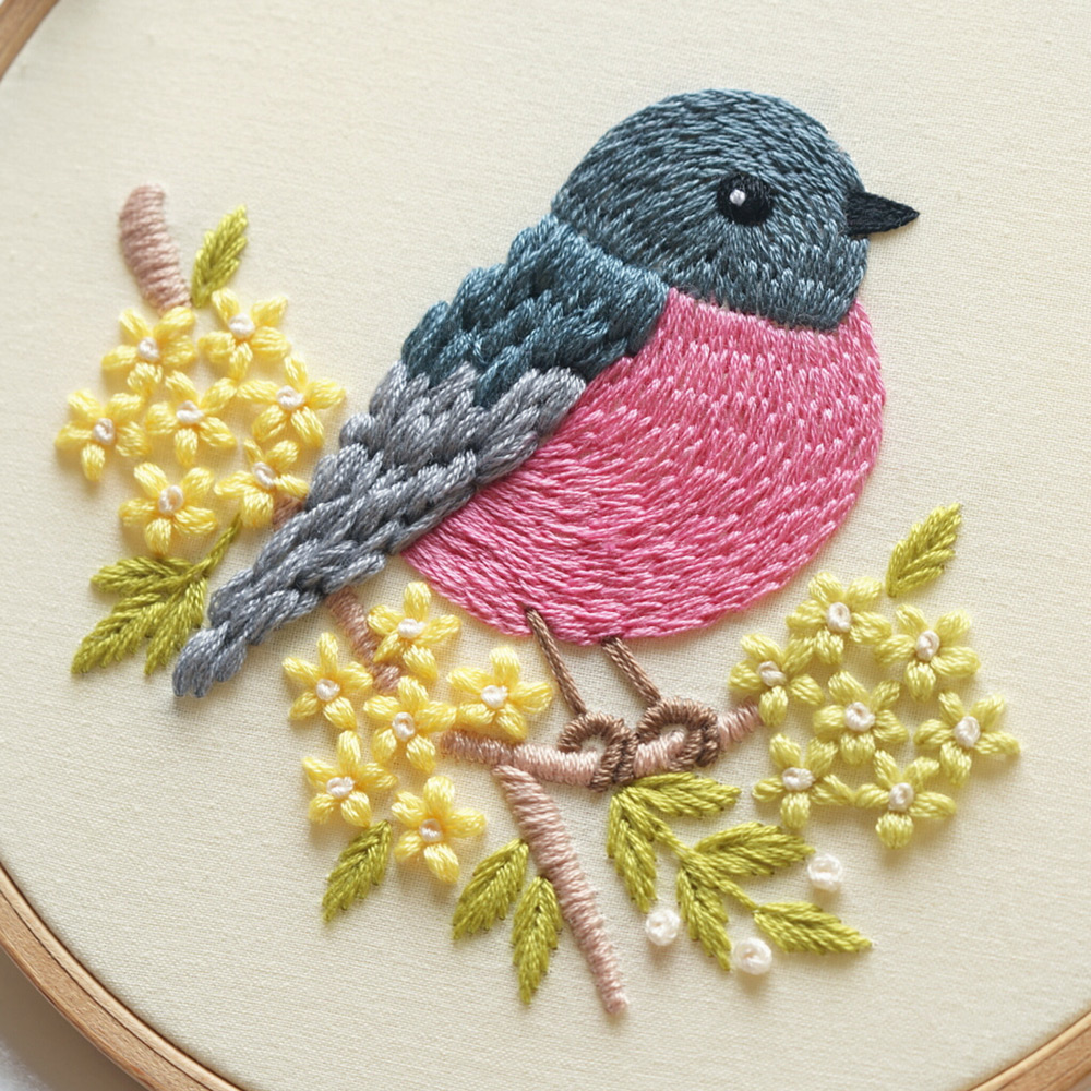 Pink robin