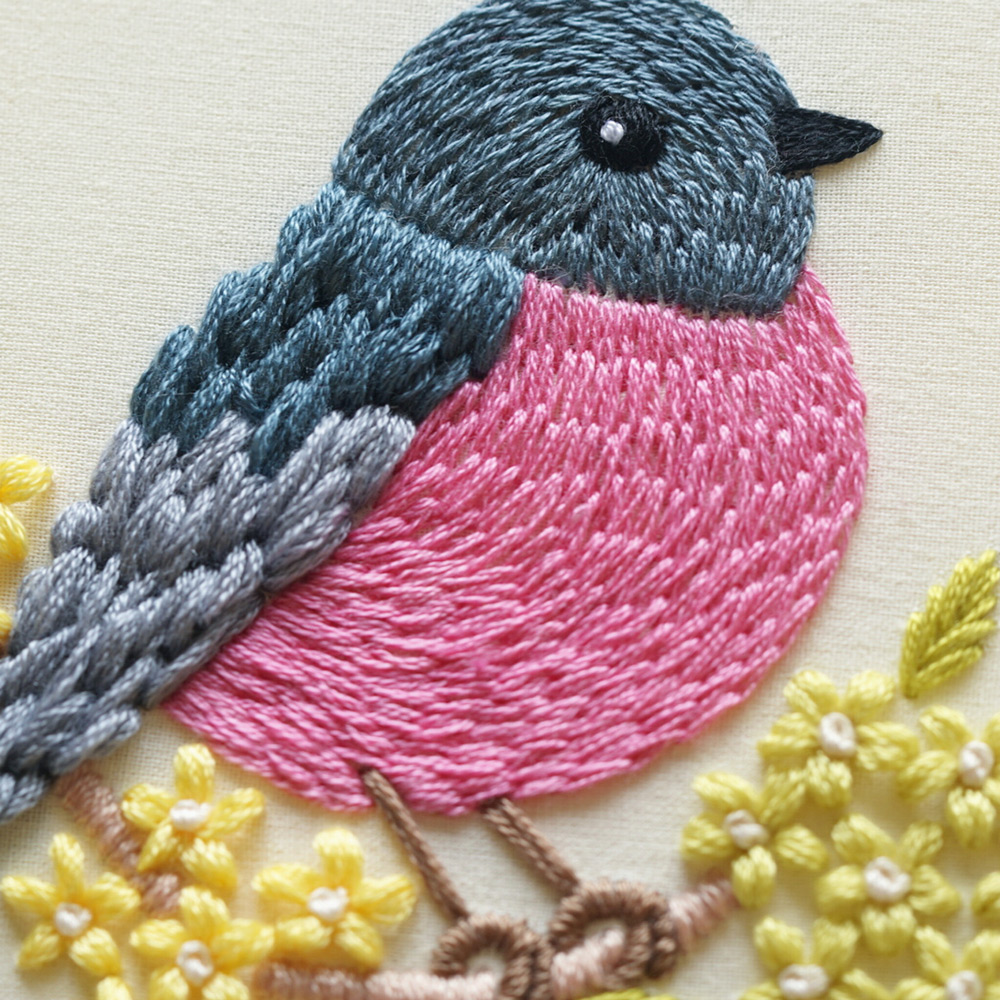 Pink robin