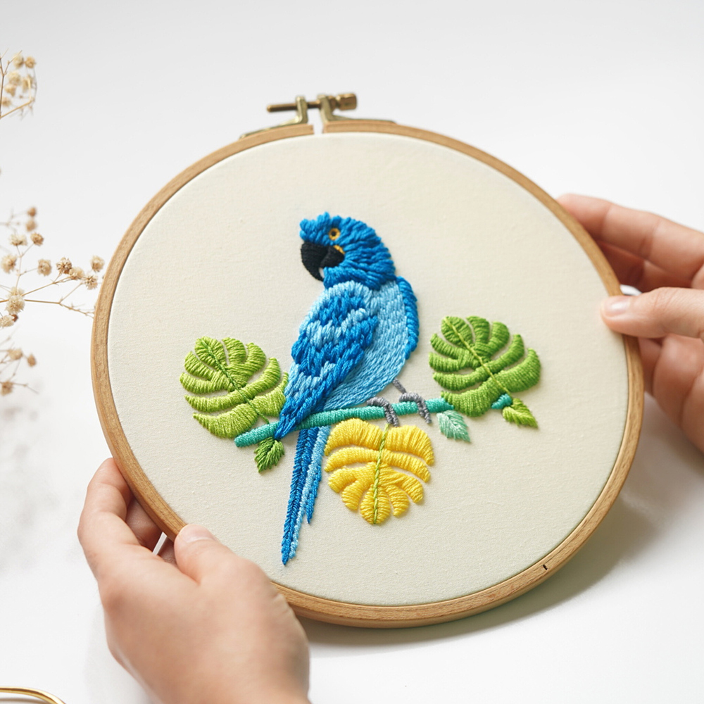 Hyacinth macaw