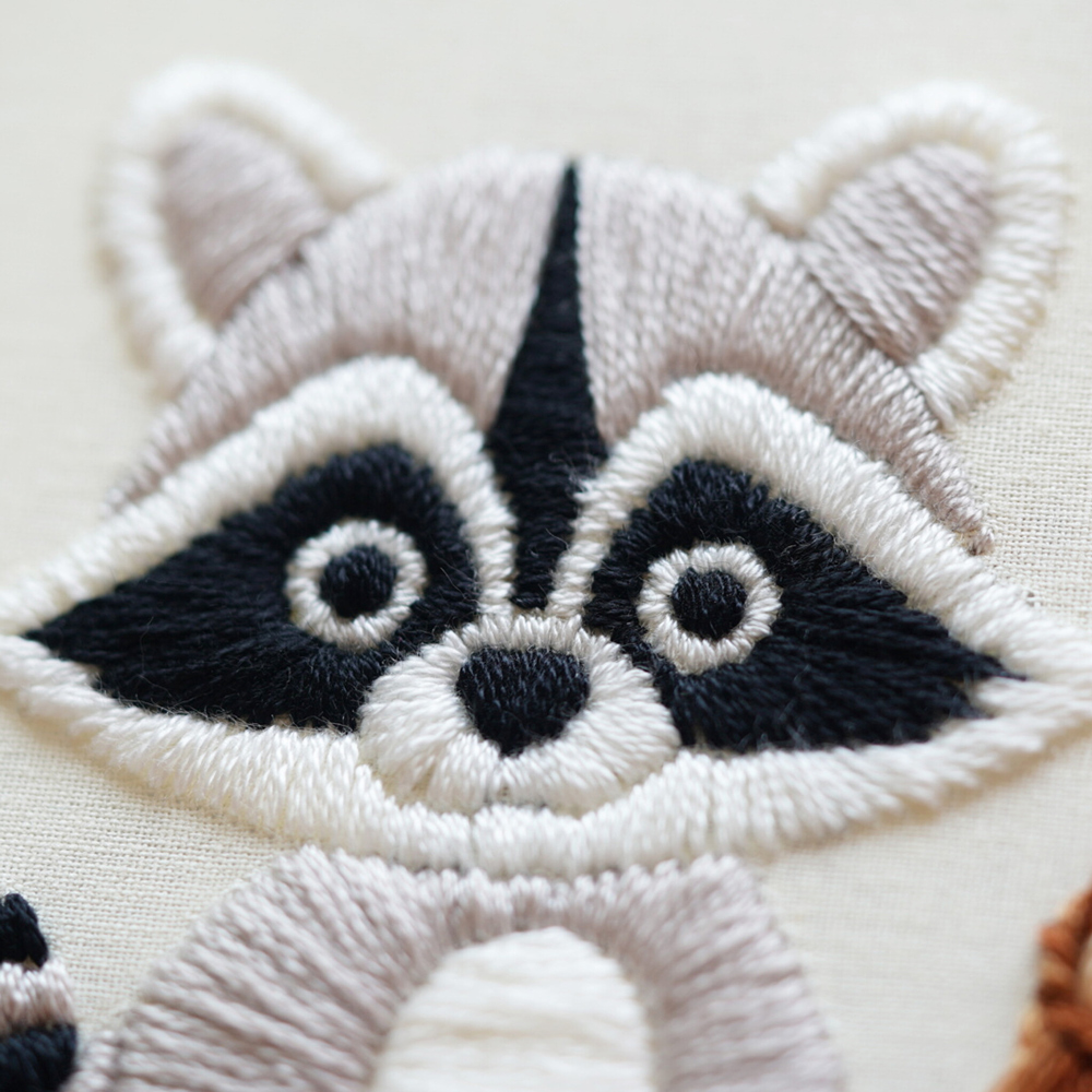 Raccoon in the jungle
